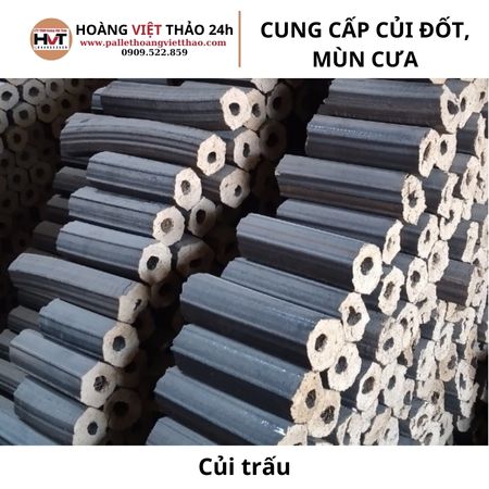 Củi trấu