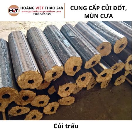 Củi trấu