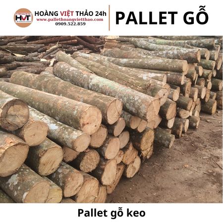 pallet gỗ keo