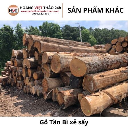 Gỗ Tần Bì xẻ sấy (Gỗ Ash)