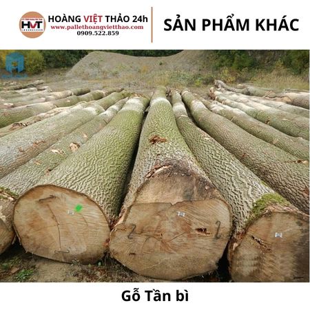 Gỗ Tần bì