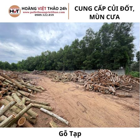 gỗ tạp