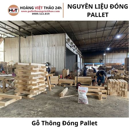 gỗ thông bào sẵn