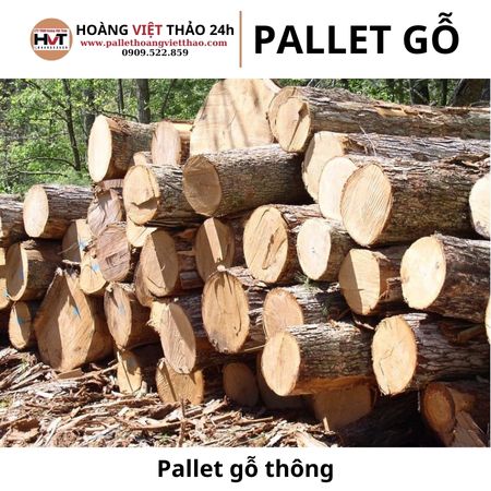 Gỗ thông đóng pallet