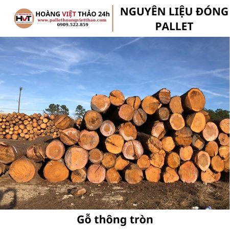 Gỗ thông tròn