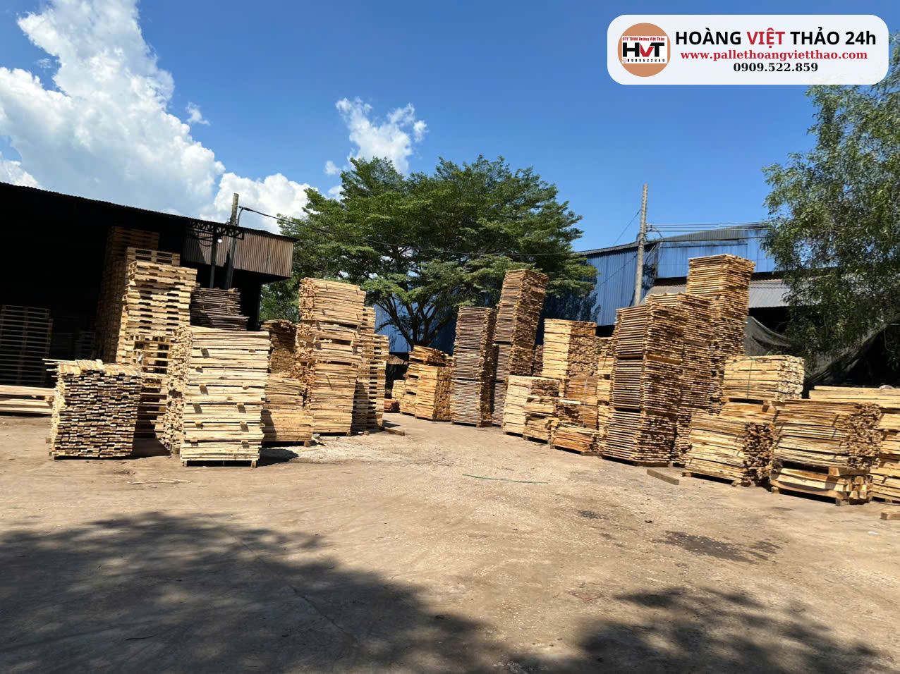 Xưởng pallet gỗ hoàng việt thảo