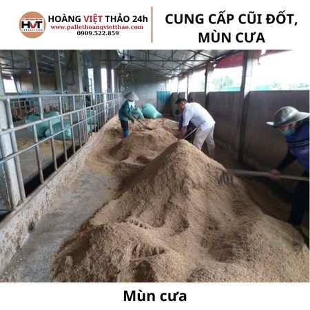 Mùn cưa trong lĩnh vực chăn nuôi