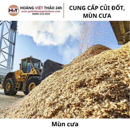 m&ugrave;n cưa