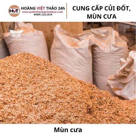 m&ugrave;n cưa