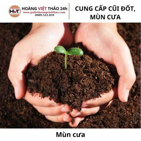 Mùn cưa trong lĩnh vực nông nghiệp