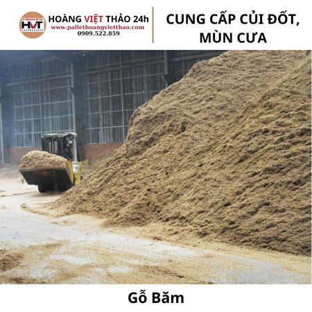 m&ugrave;n cưa