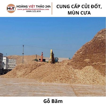 m&ugrave;n cưa