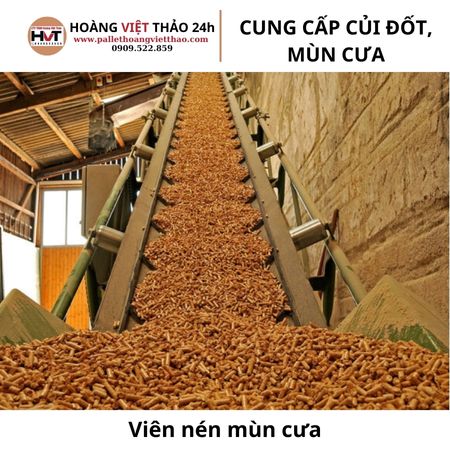 vi&ecirc;n n&eacute;n m&ugrave;n cưa