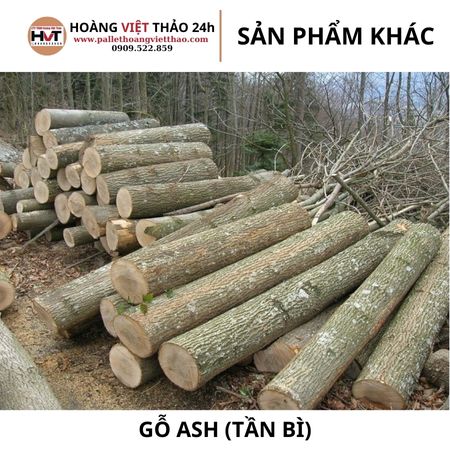 Gỗ ASH