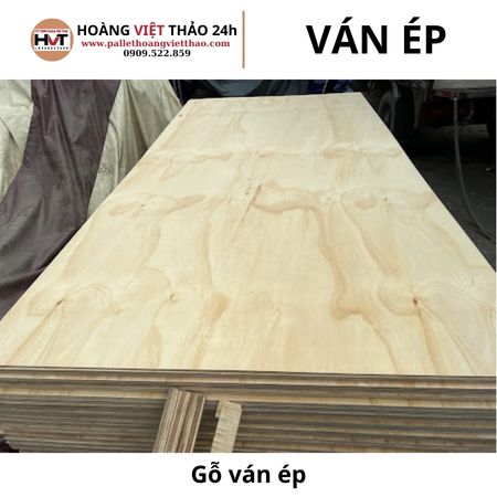 Gỗ Ván Ép