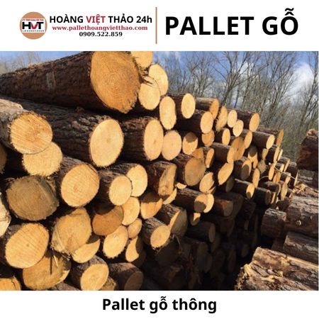 Kích thước Pallet gỗ thông