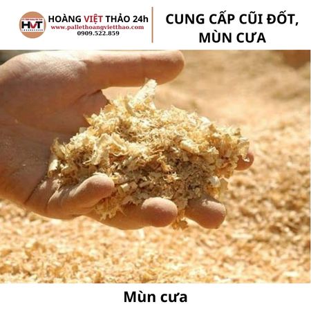 Mùn Cưa