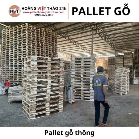 Pallet gỗ thông