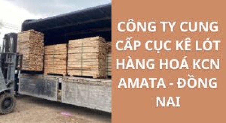 #Top 20 Công Ty Cung Cấp Cục Kê Lót Hàng Hoá KCN Amata - Đồng Nai