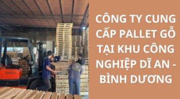 Top+ Công Ty Cung Cấp Pallet Gỗ KCN Dĩ An