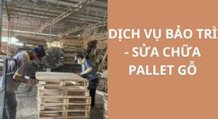 Dịch Vụ Bảo Trì - Sửa Chữa Pallet Gỗ