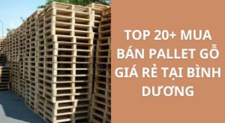 Top 20+ Cửa Hàng Mua Bán Pallet Gỗ Giá Rẻ Tại Bình Dương