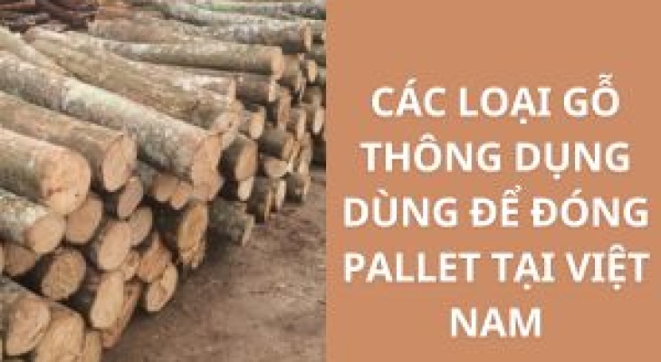 Các Loại Gỗ Thông Dụng Dùng Để Đóng Pallet Tại Việt Nam