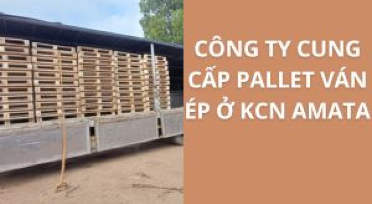 20+ Địa Chỉ Cung Cấp Pallet Ván Ép KCN Amtata – Giá Cực Ưu Đãi