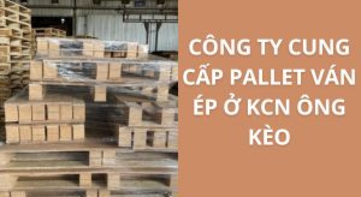 20+ Địa Chỉ Cung Cấp Pallet Ván Ép KCN Ông Kèo – Giá Cực Ưu Đãi