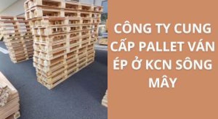 20+ Địa Chỉ Cung Cấp Pallet Ván Ép KCN Sông Mây – Giá Cực Ưu Đãi