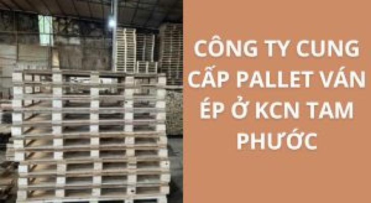20+ Địa Chỉ Cung Cấp Pallet Ván Ép KCN Tam Phước – Giá Cực Ưu Đãi