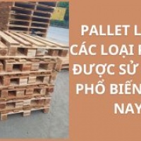 PALLET LÀ GÌ? CÁC LOẠI PALLET ĐƯỢC SỬ DỤNG PHỔ BIẾN HIỆN NAY