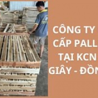 Công Ty Cung Cấp Pallet Gỗ Tại KCN Dầu Giây