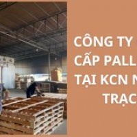 Công Ty Cung Cấp Pallet Gỗ Tại Nhơn Trạch