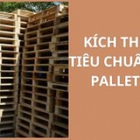 Kích Thước Tiêu Chuẩn Của Pallet Gỗ