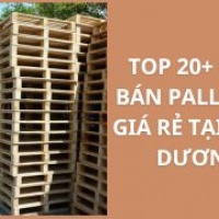 Top 20+ Cửa Hàng Mua Bán Pallet Gỗ Giá Rẻ Tại Bình Dương