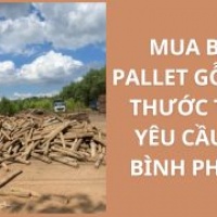 Mua Bán Pallet Gỗ Kích Thước Theo Yêu Cầu Tại Bình Phước