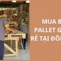 Mua Bán Pallet Gỗ Giá Rẻ Tại Đồng Nai