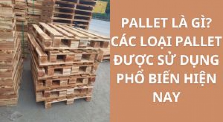 PALLET LÀ GÌ? CÁC LOẠI PALLET ĐƯỢC SỬ DỤNG PHỔ BIẾN HIỆN NAY