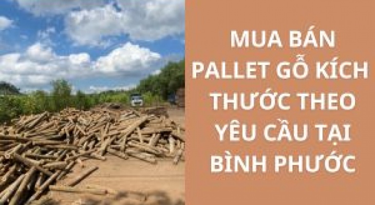 Mua Bán Pallet Gỗ Kích Thước Theo Yêu Cầu Tại Bình Phước